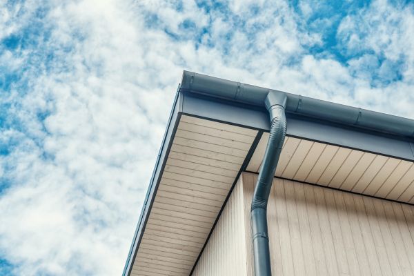 Gutter Fascia Repair in Saint Joseph